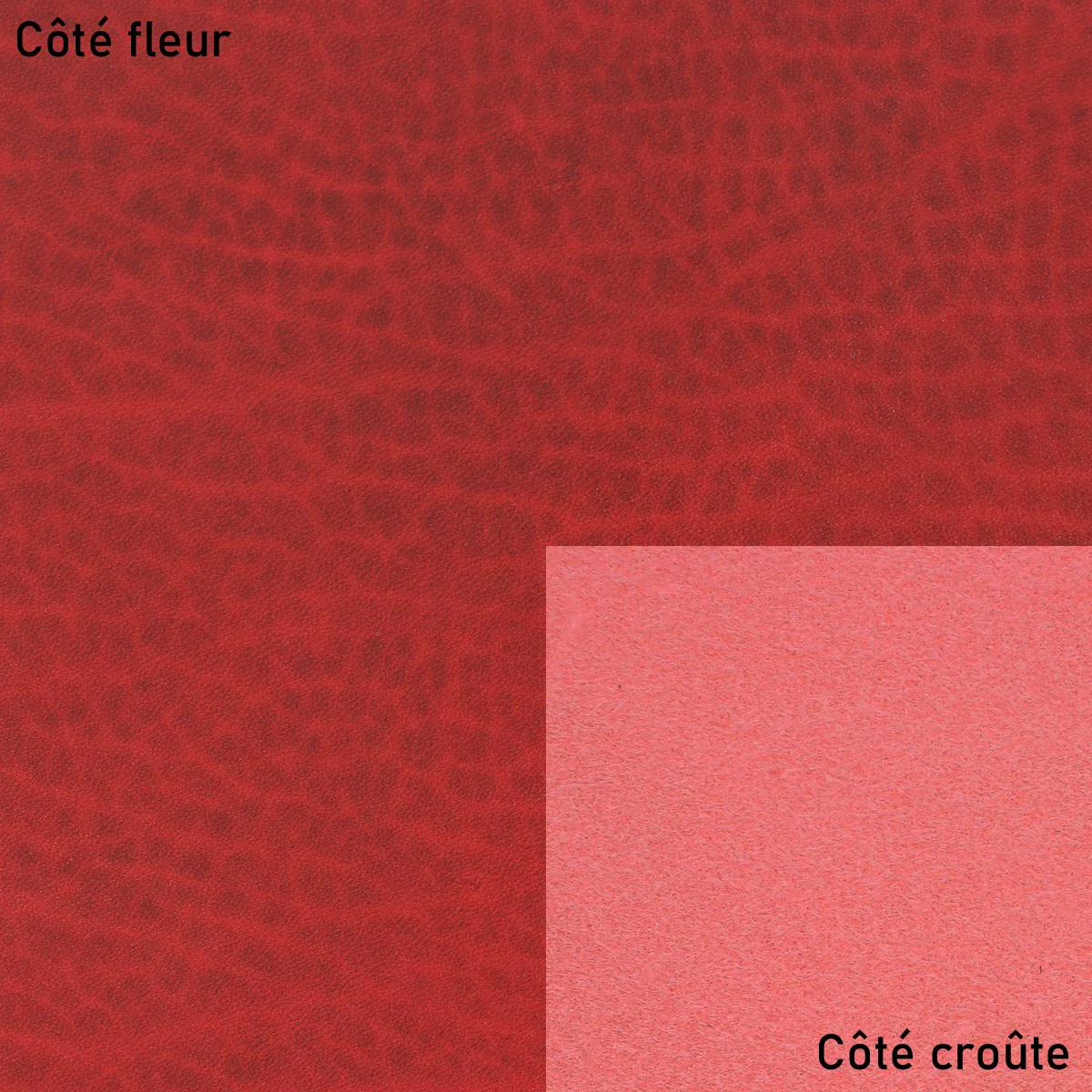 Image du produit 12
